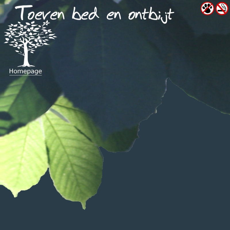 background site of Toeven bed & breakfast in utrecht city centre serving full organic breakfast